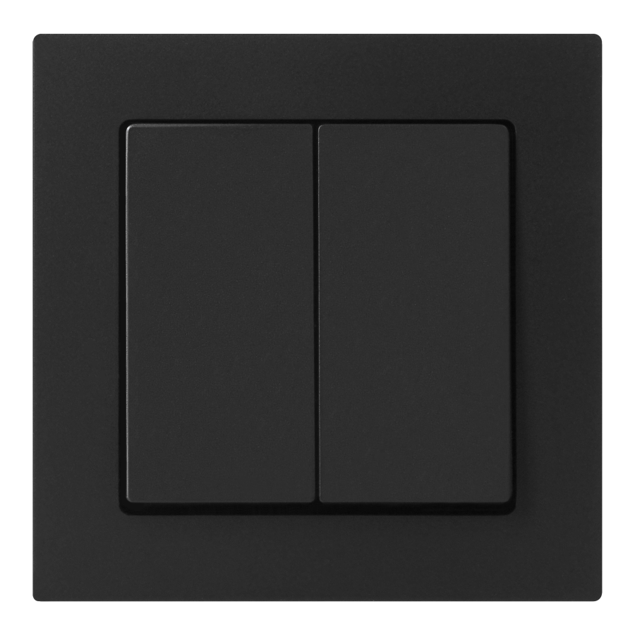 Flush-mounted two-button switch with illumination Malta 10A, 250V, WP-2M/S, matt black